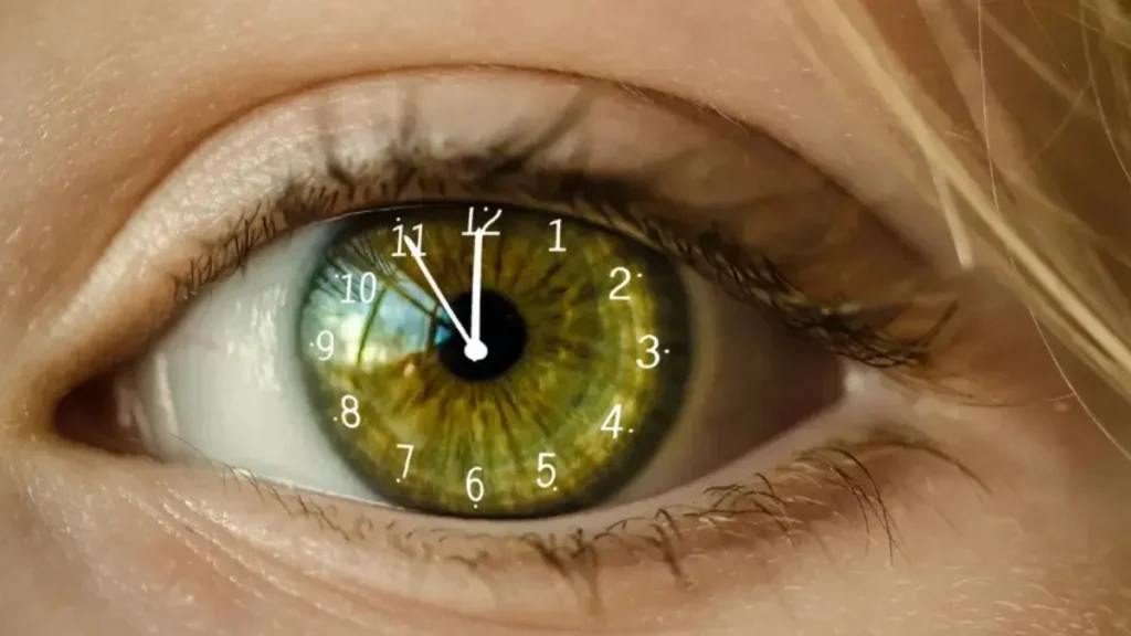 ciclo de 7 anos na vida da mulher aos 40