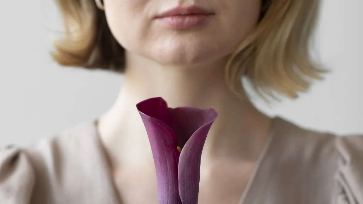 perimenopausa